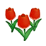 チューリップ